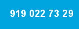 919 022 73 29